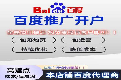 百度推广实战：案例分享与数据解读